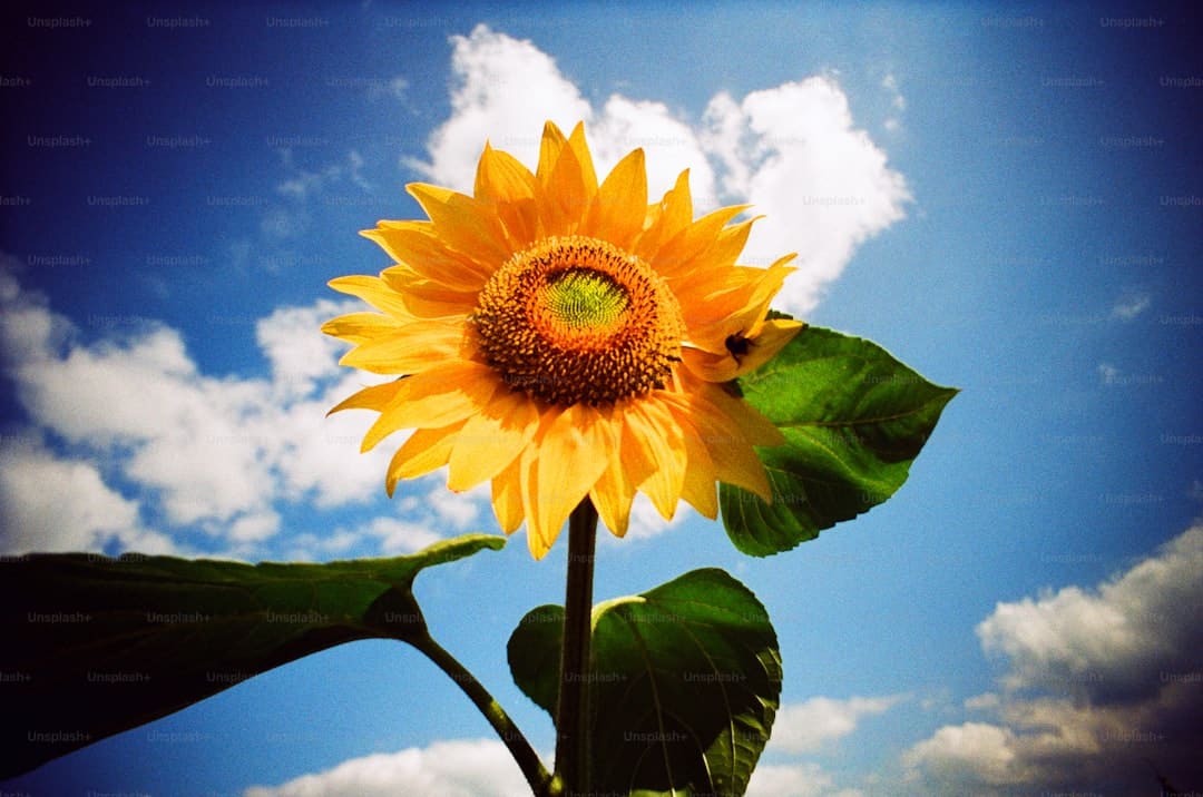 马思纯因花少团决议戒药 焦虑心情大幅缓解